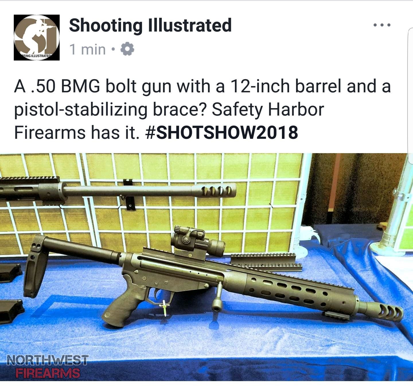Top 12 .50 BMG Rifles [2023]