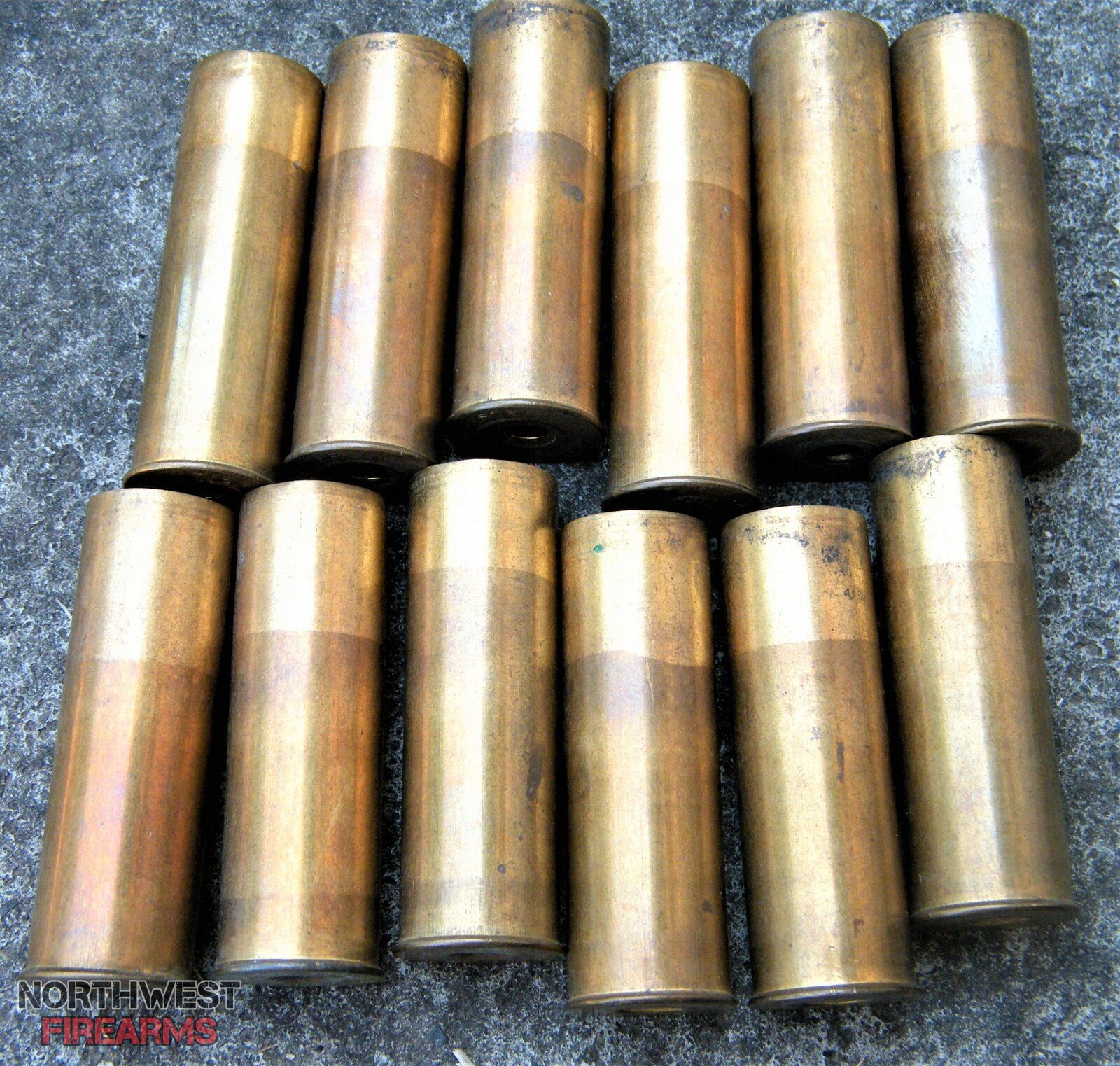 12 Vintage Winchester Brass Shot Shells 12GA