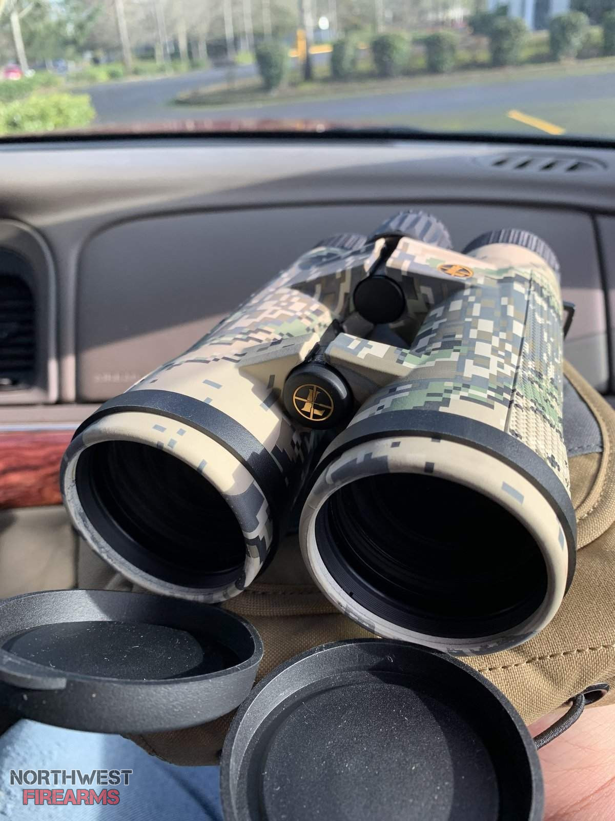 Leupold BX 4 Pro Guide HD 12x50 Northwest Firearms