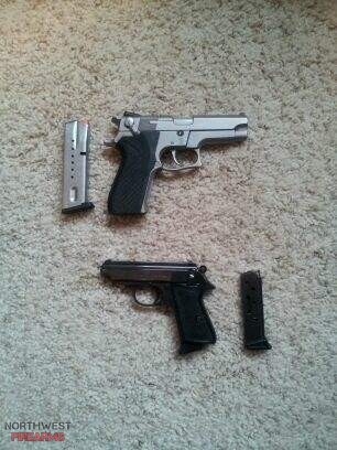 2 pistols.jpg