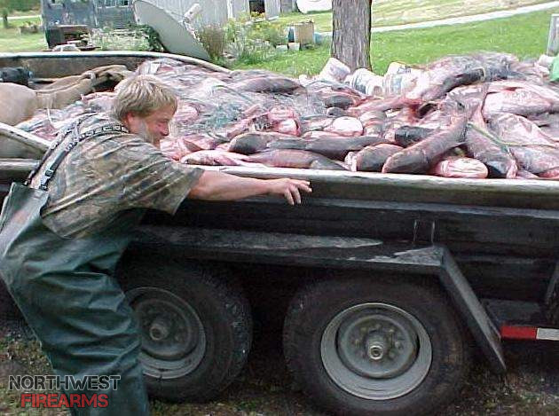 asiancarp.jpg
