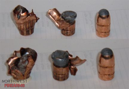 Bison Bullets.jpg