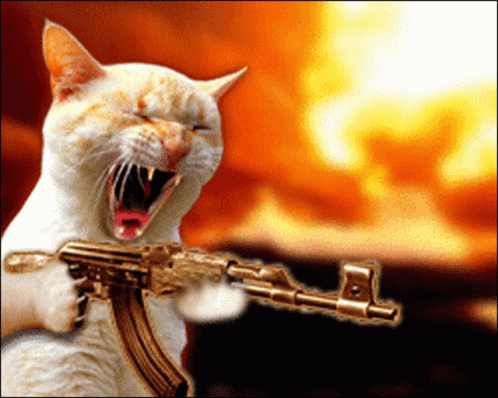 Cat_machine gun.gif