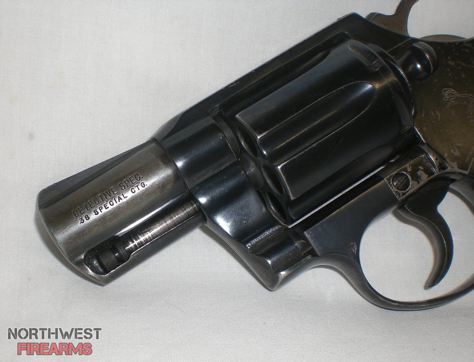 colt2.JPG