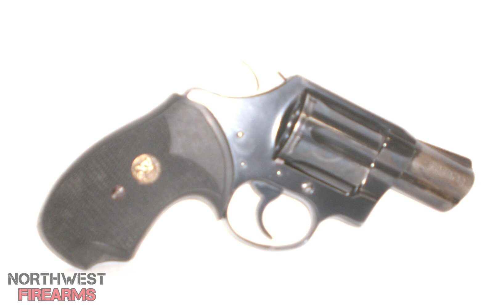 colt3.JPG