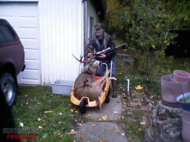 deer 2011.jpg