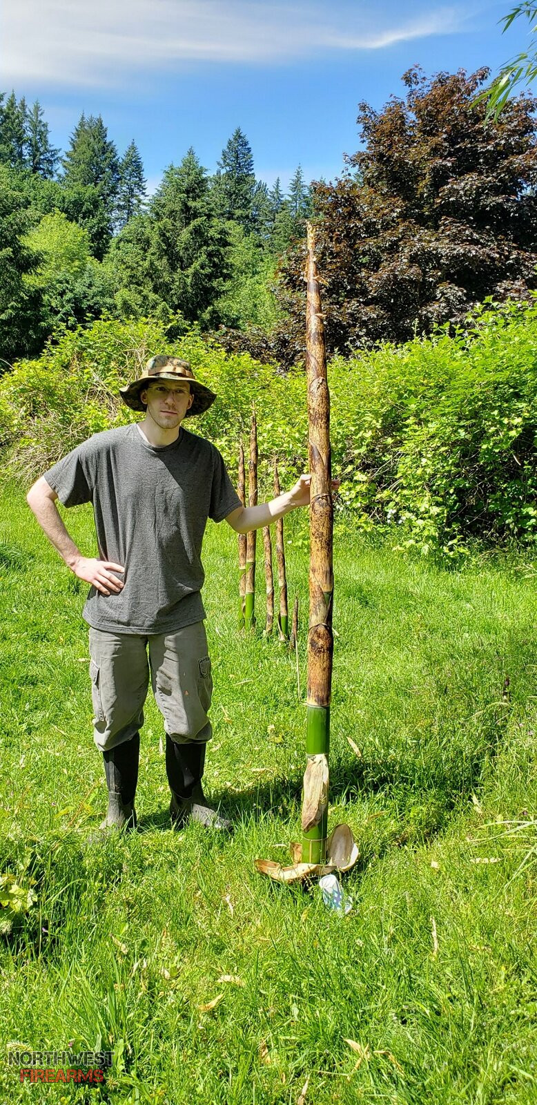 Dillon's timber bamboo.jpeg