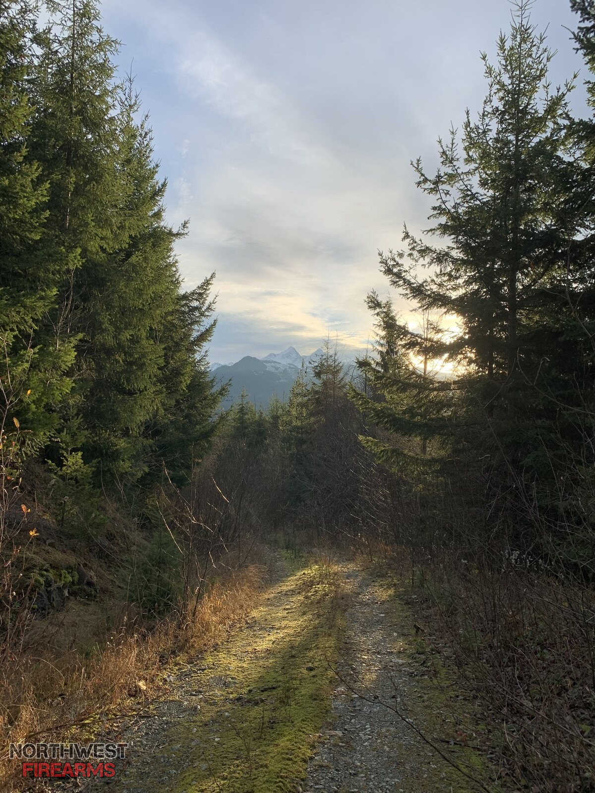 Grouse Road