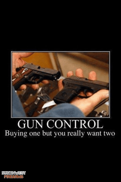 Gun control.png