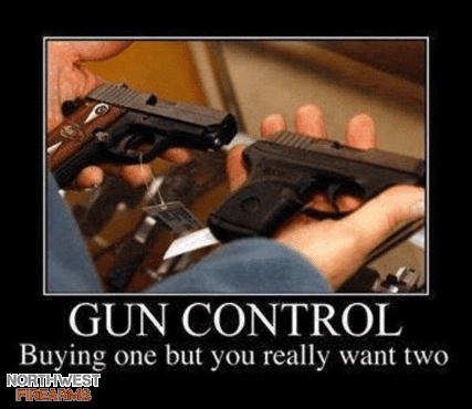 Gun control.png