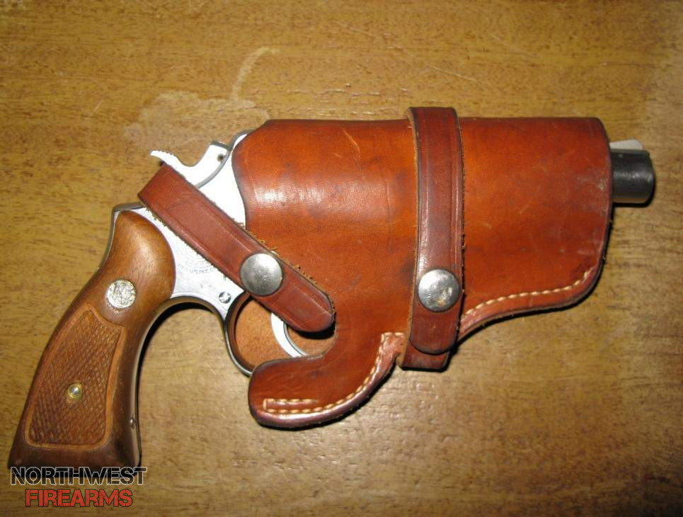 holstered.jpg