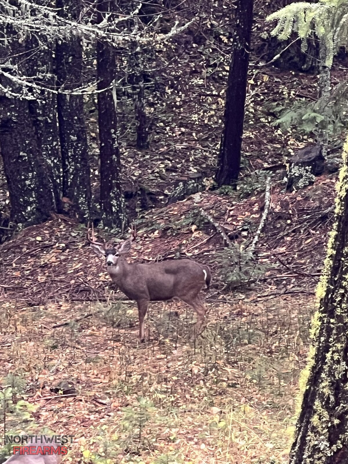 IMG_0773.jpeg