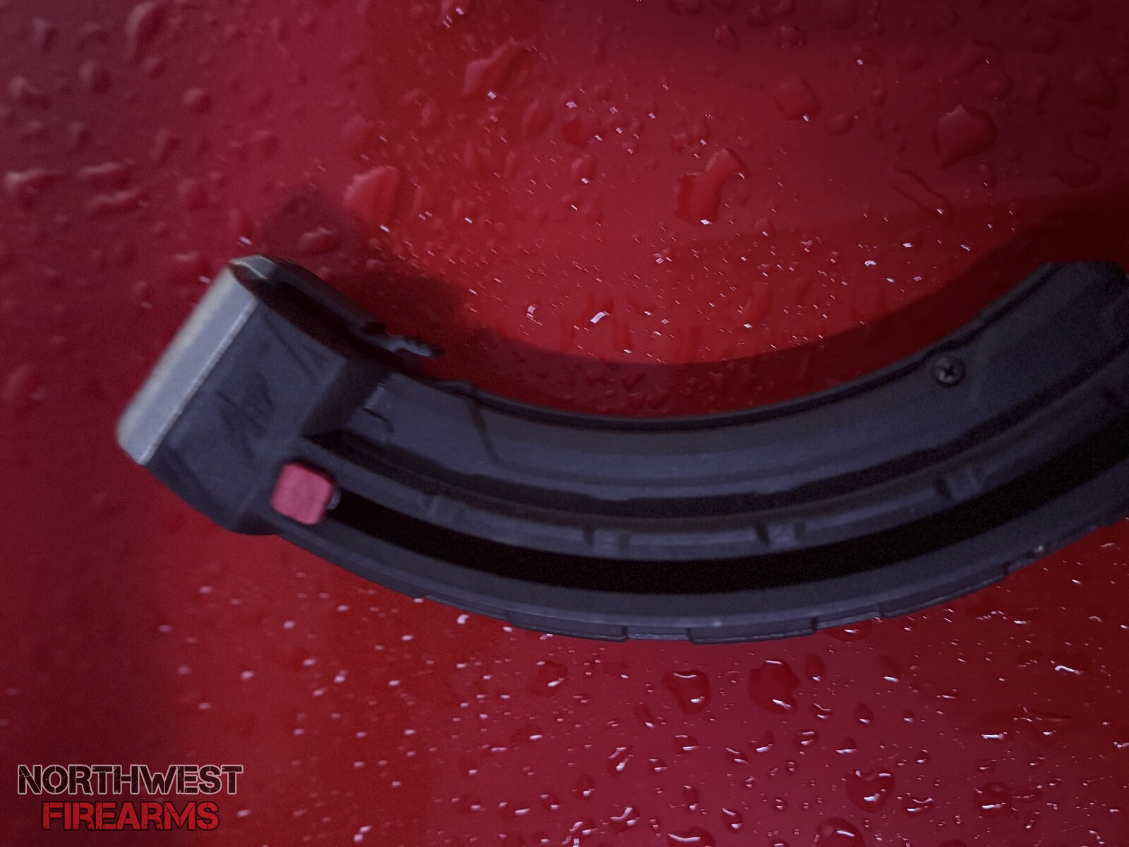 IMG_0850.jpeg