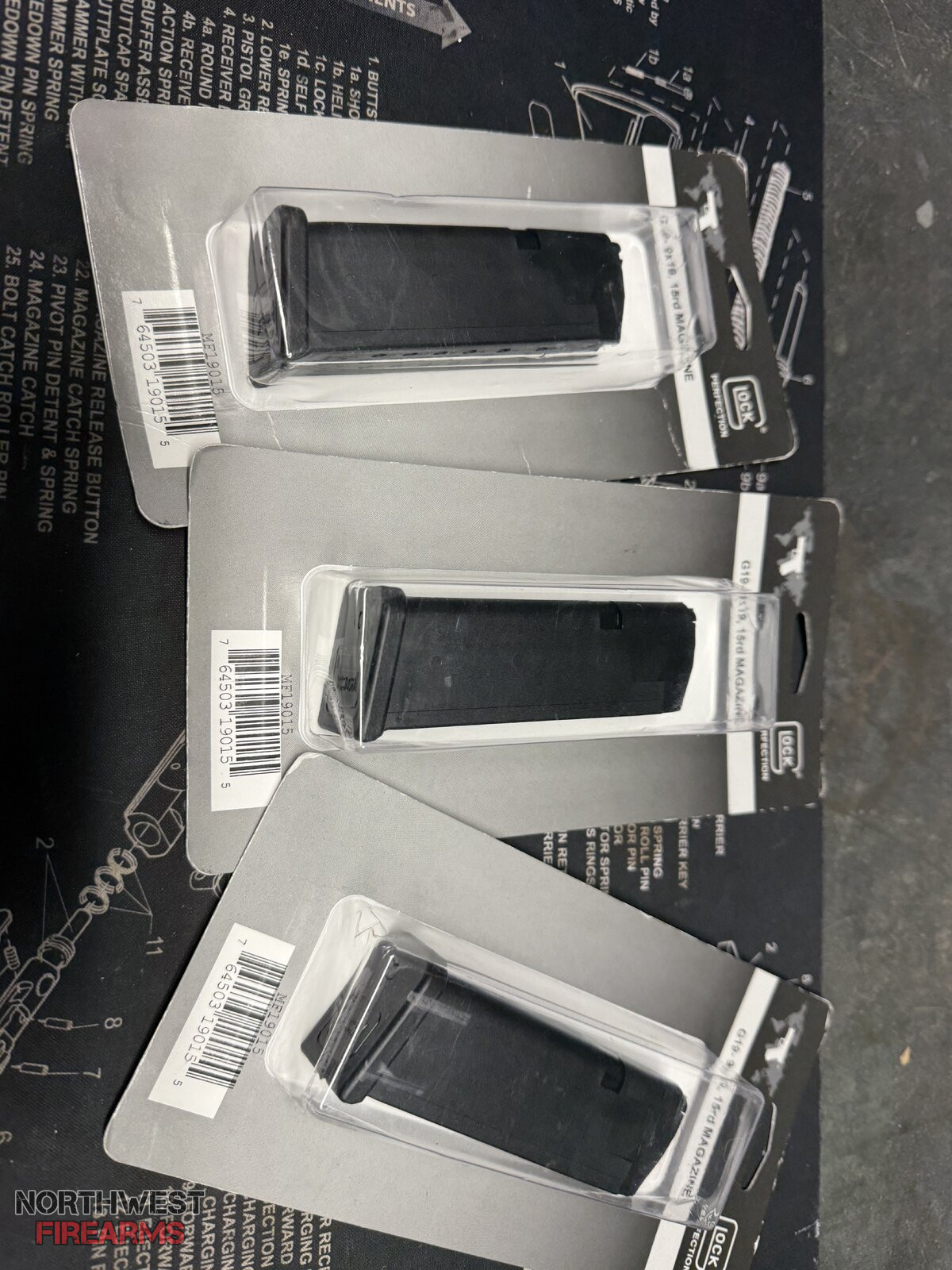 IMG_0923.jpeg