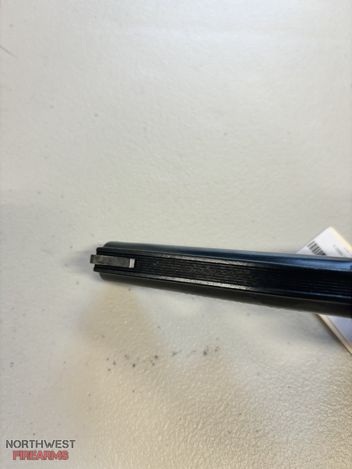 IMG_2176.jpeg