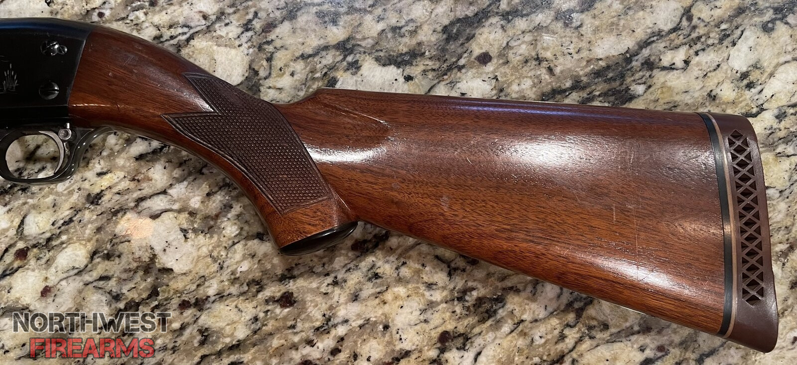 IMG_2393.jpeg