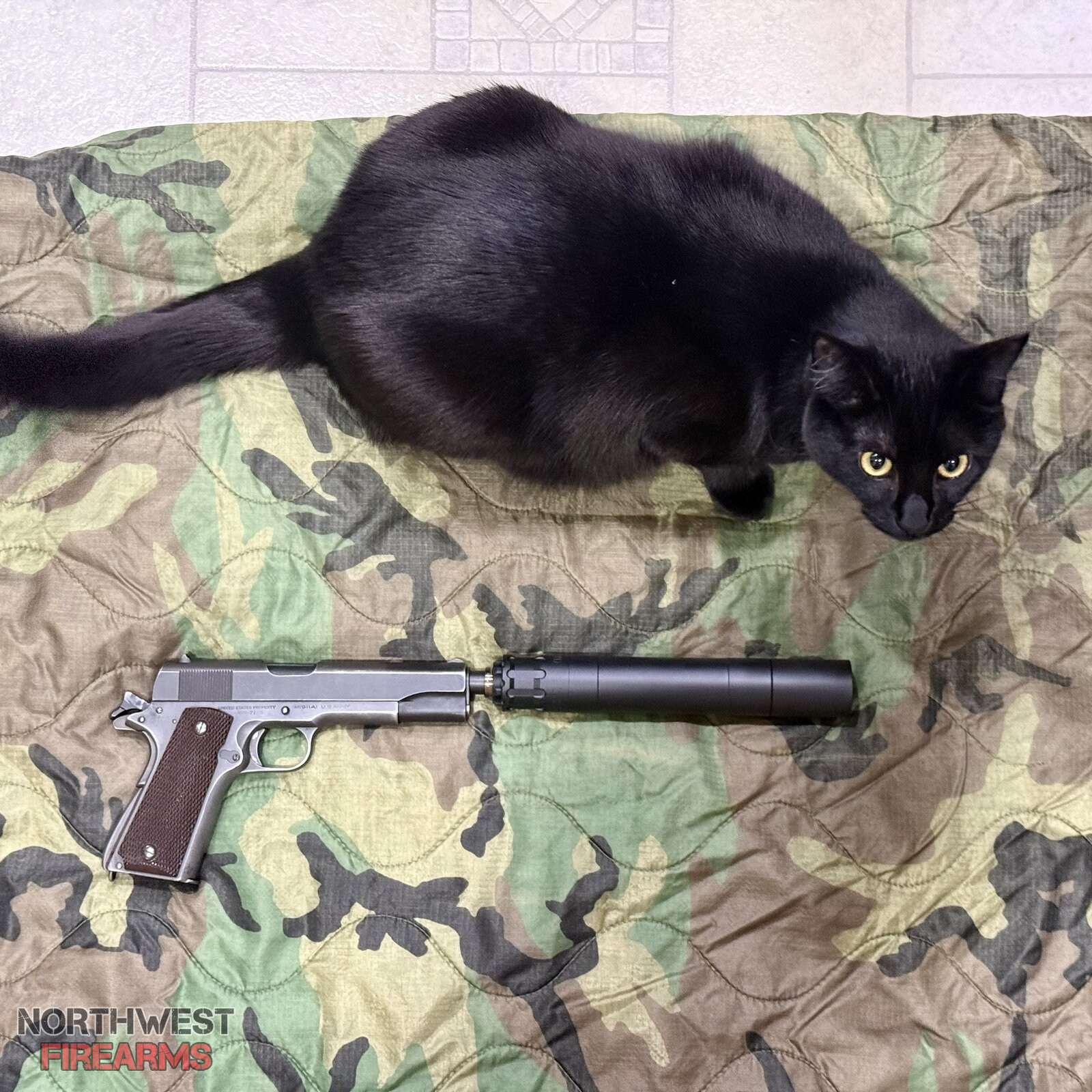 IMG_3159.jpeg