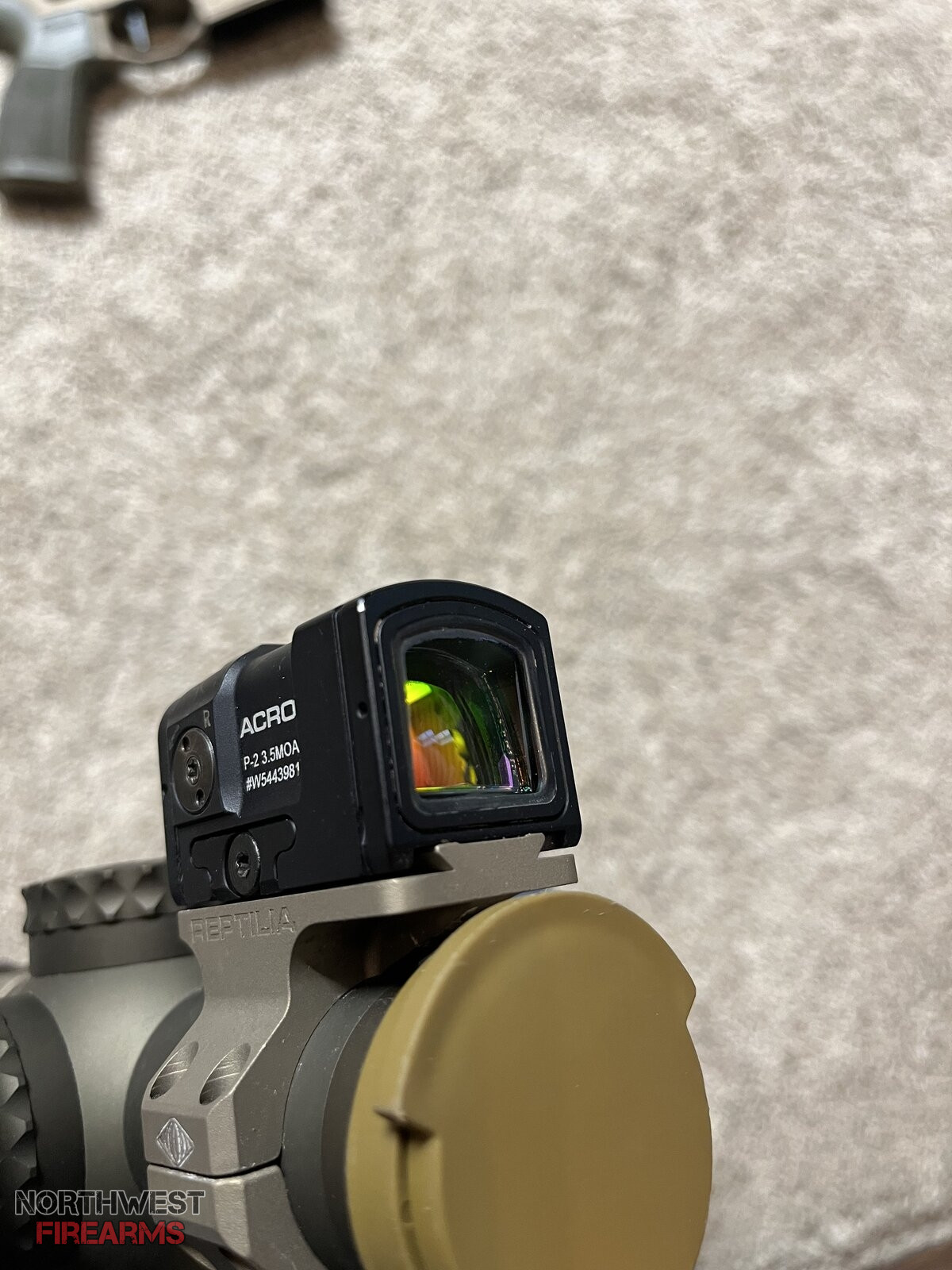 IMG_3245.jpeg