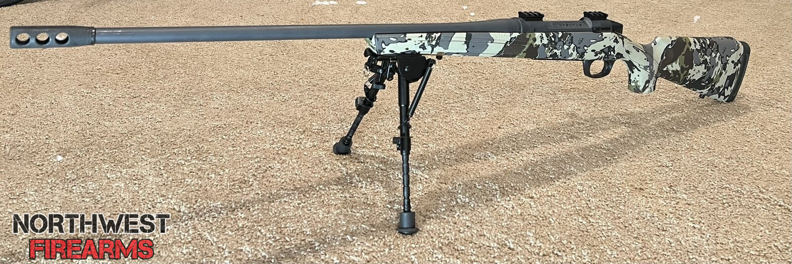 IMG_3878.jpeg