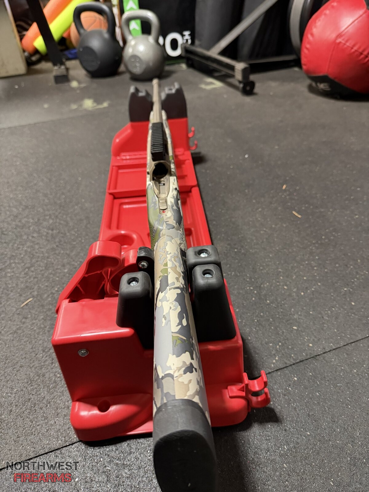 IMG_5528.jpeg