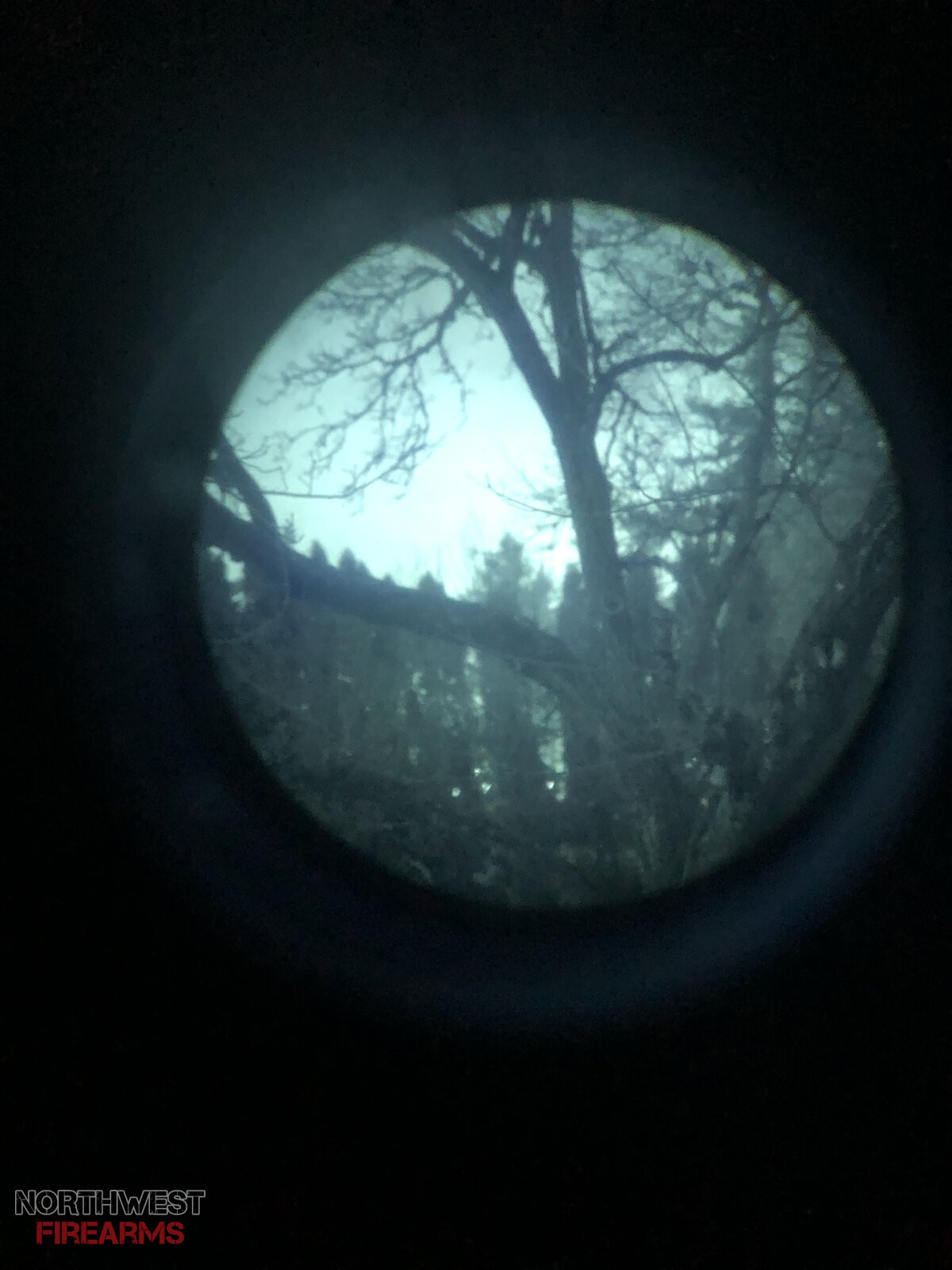 IMG_9069.jpeg