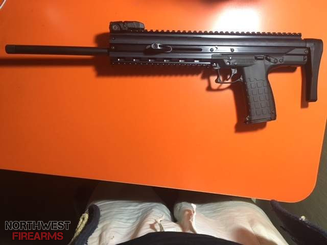 keltec2.jpg