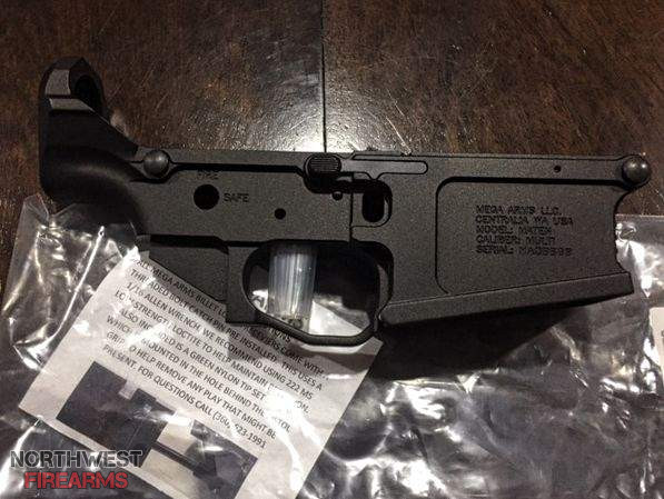 Mega Lower 2.jpg