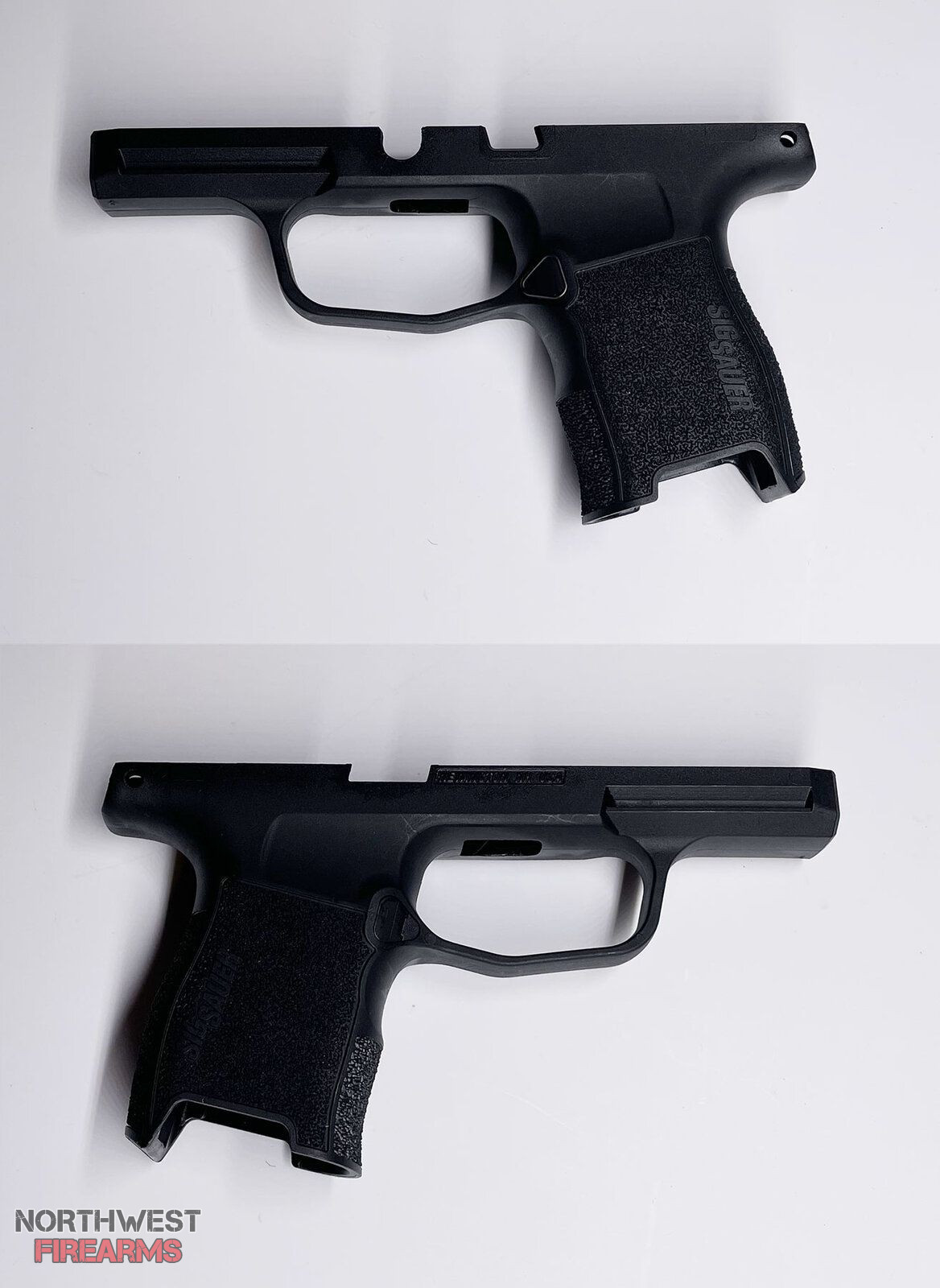 P365_Module.jpg