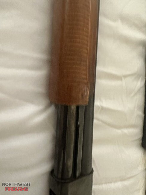 shotgun-4.jpeg