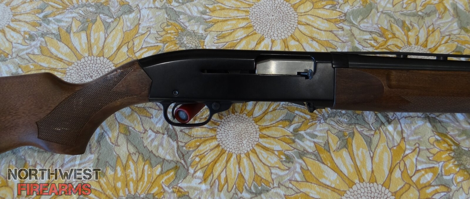 Shotgun 4.JPG