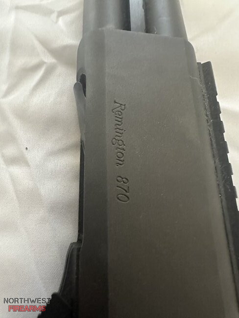 shotgun-6.jpeg
