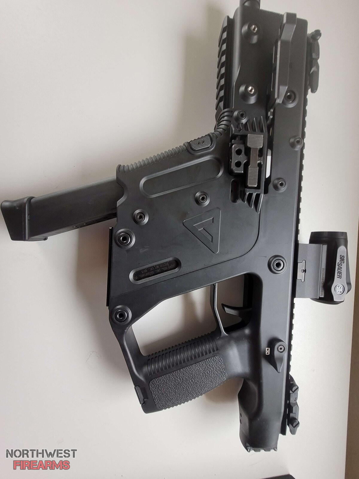 Vector.jpg
